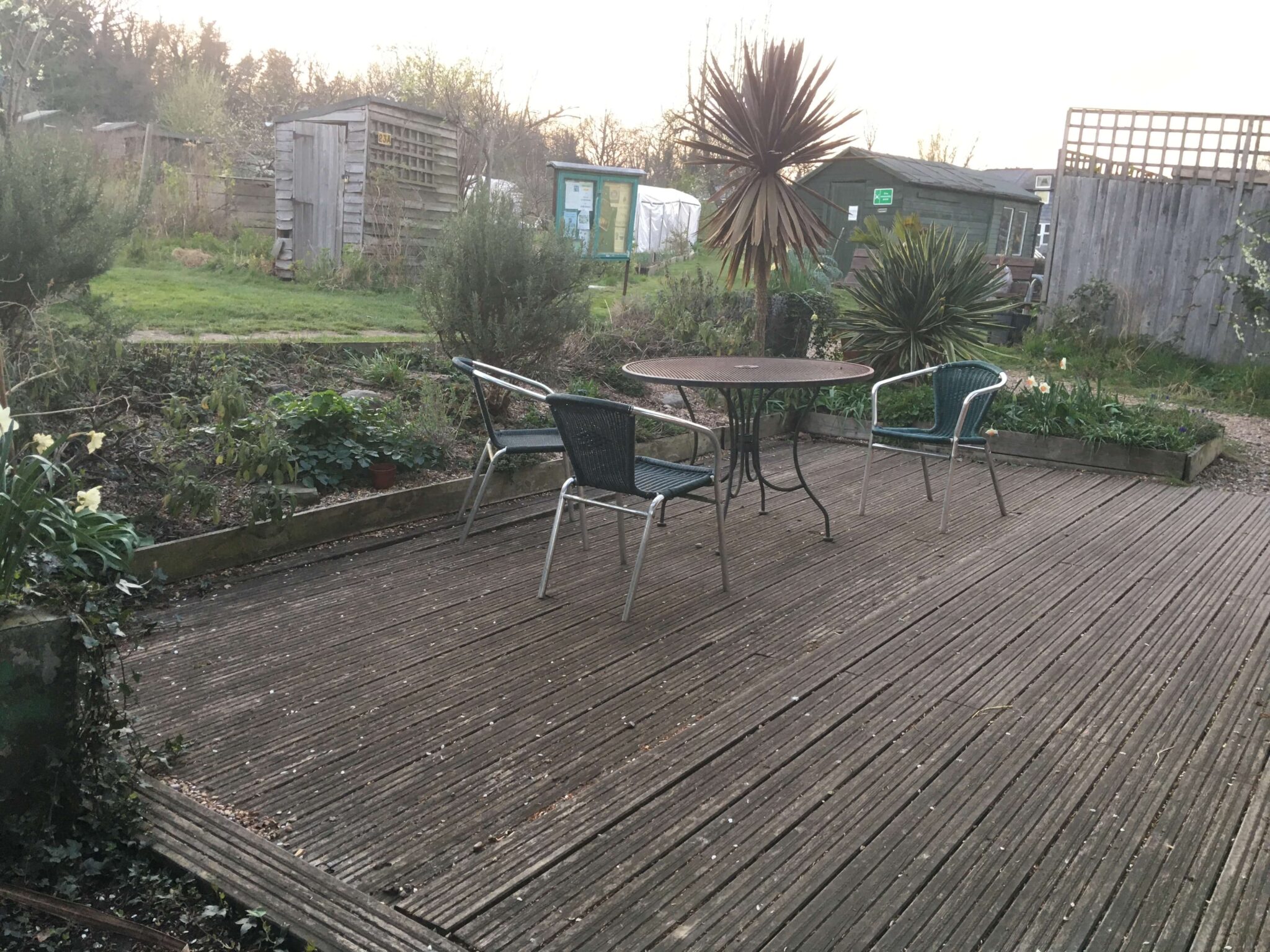 Garden design for Beginners London School of Horticulture