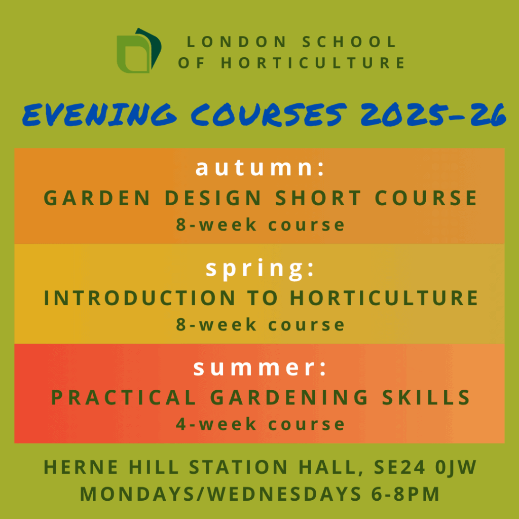 Evening Course information