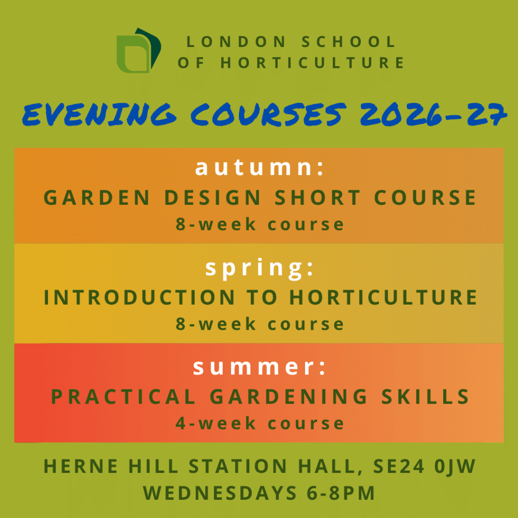 Evening course info