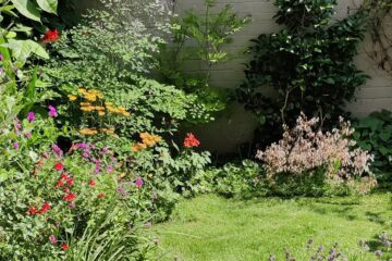jw garden cropped2 jw garden cropped2